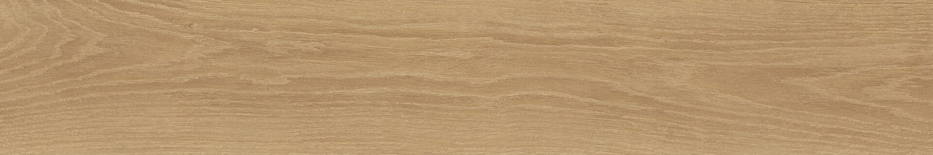610010001619 Eligo Basswood