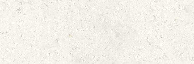 9529 White