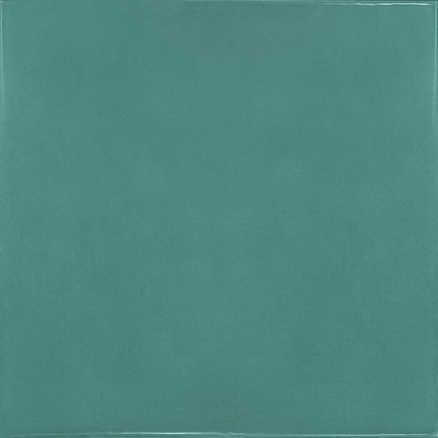 25590 Village Teal