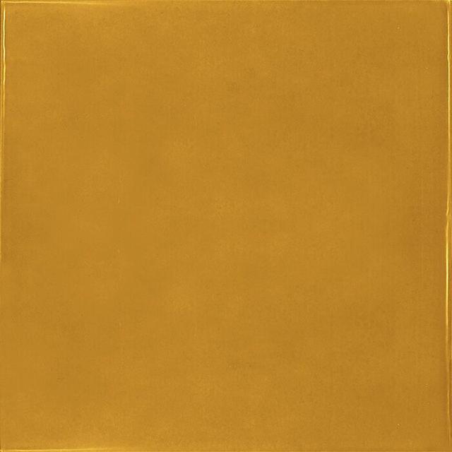 25591 Village Tuscany Gold