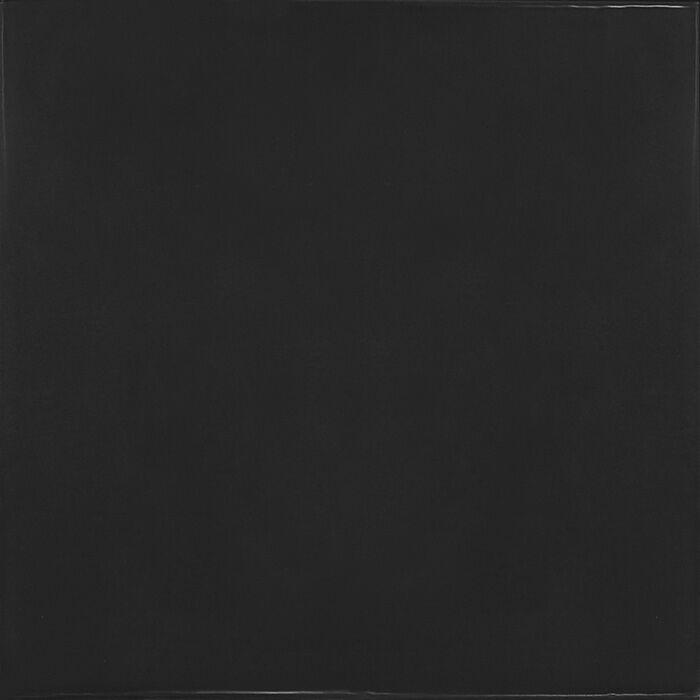 25598 Village Black