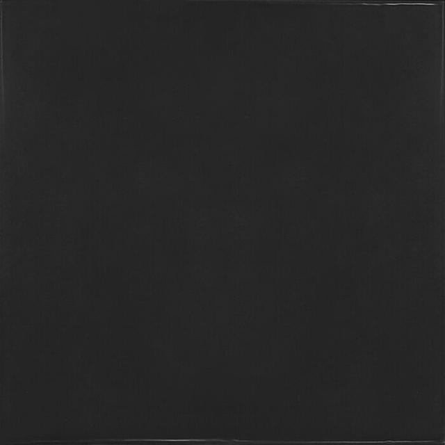 25598 Village Black