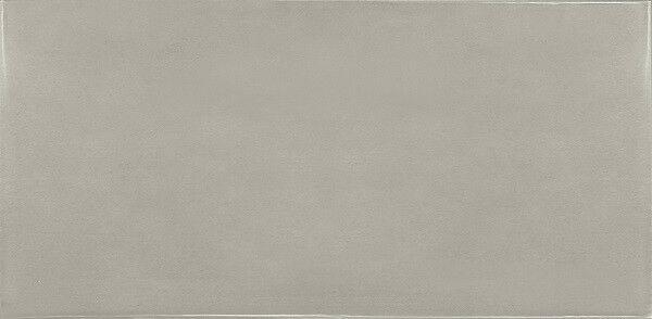 25582 Village Silver Mist