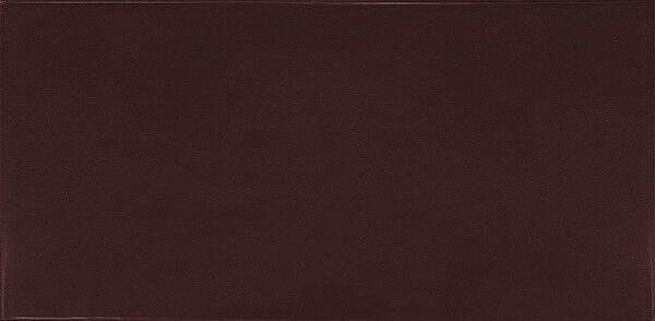 25628 Village Aubergine