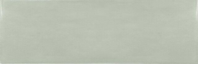 25643 Village Mint