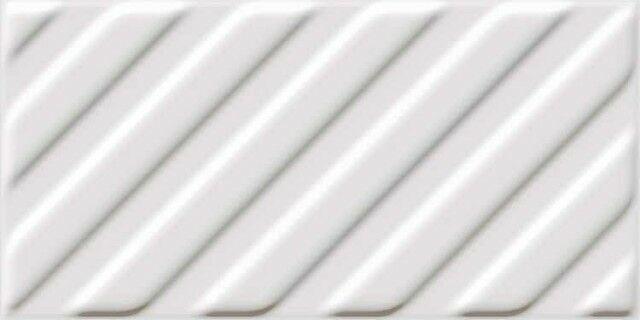 Aston Relieve Glaciar
