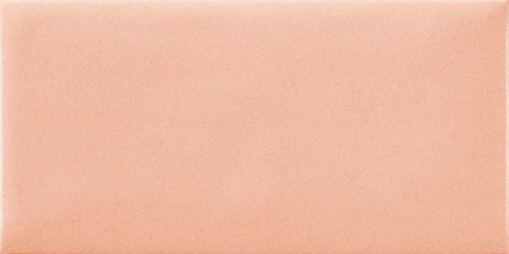 Nordic Coral