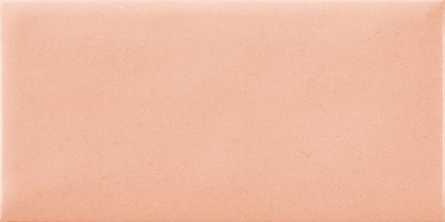 Nordic Coral