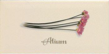 Decor Crema Alium