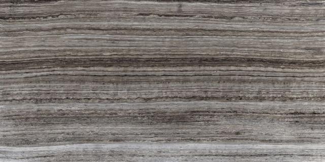 SK06 60120/PS