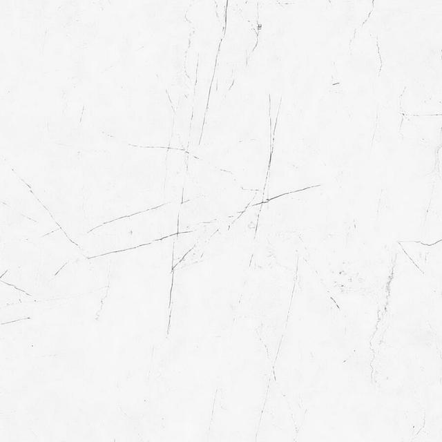 VS01/PS/6060