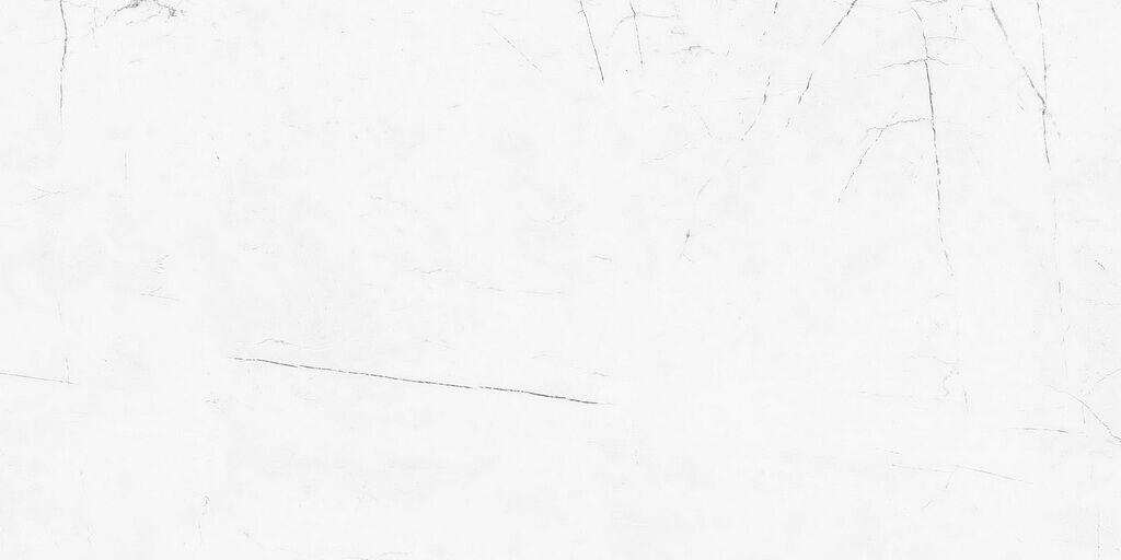 VS01/NS/60120