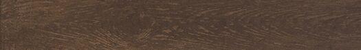 Rovere Antico