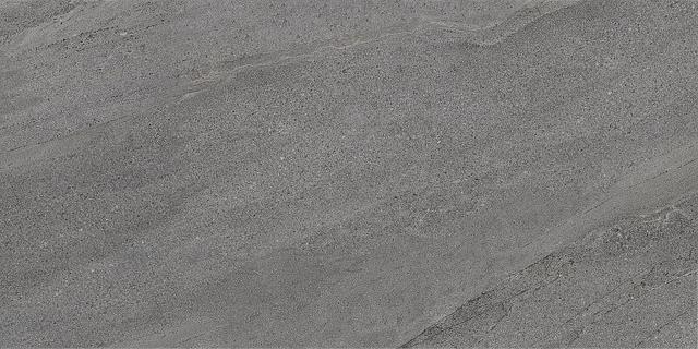 610010001693 Carbon