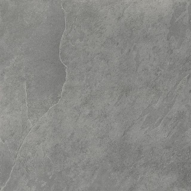 610010001694 Carbonio