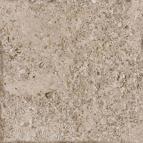 Taupe 10