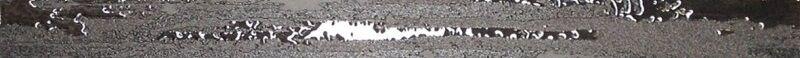List Pollock Silver