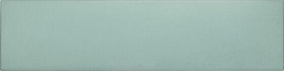 25894 Bahia Blue