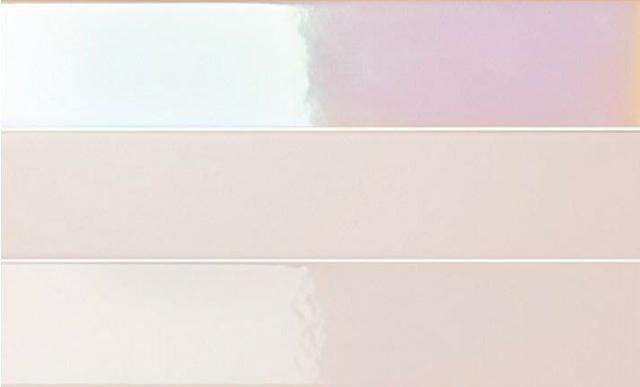 4100730 Rose Hologram Mix