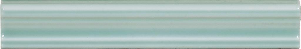 Mold Aqua