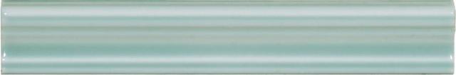 Mold Aqua