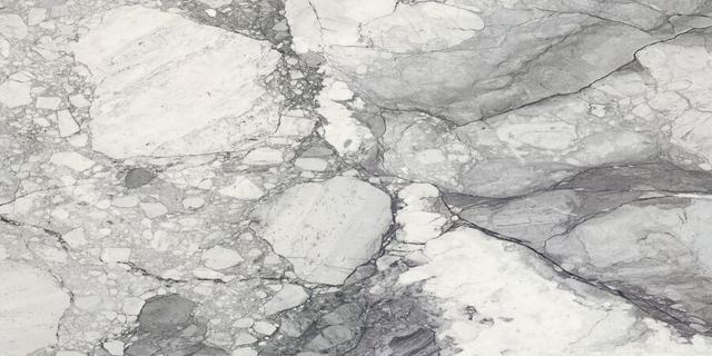 Snow 60120