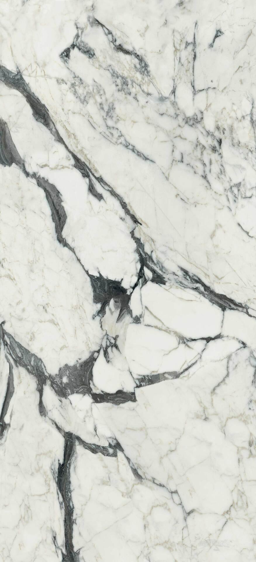 766330 Сalacatta Аltissimo Glossy
