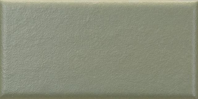 26481 Amazonia Green