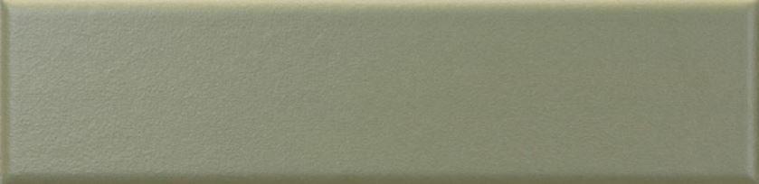 26491 Amazonia Green