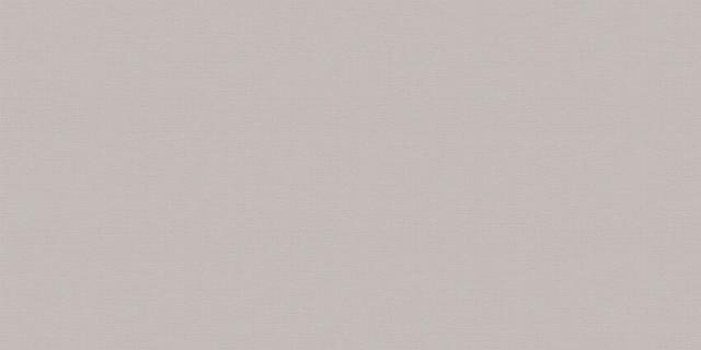 WT9MEG15 Megapolis Gray