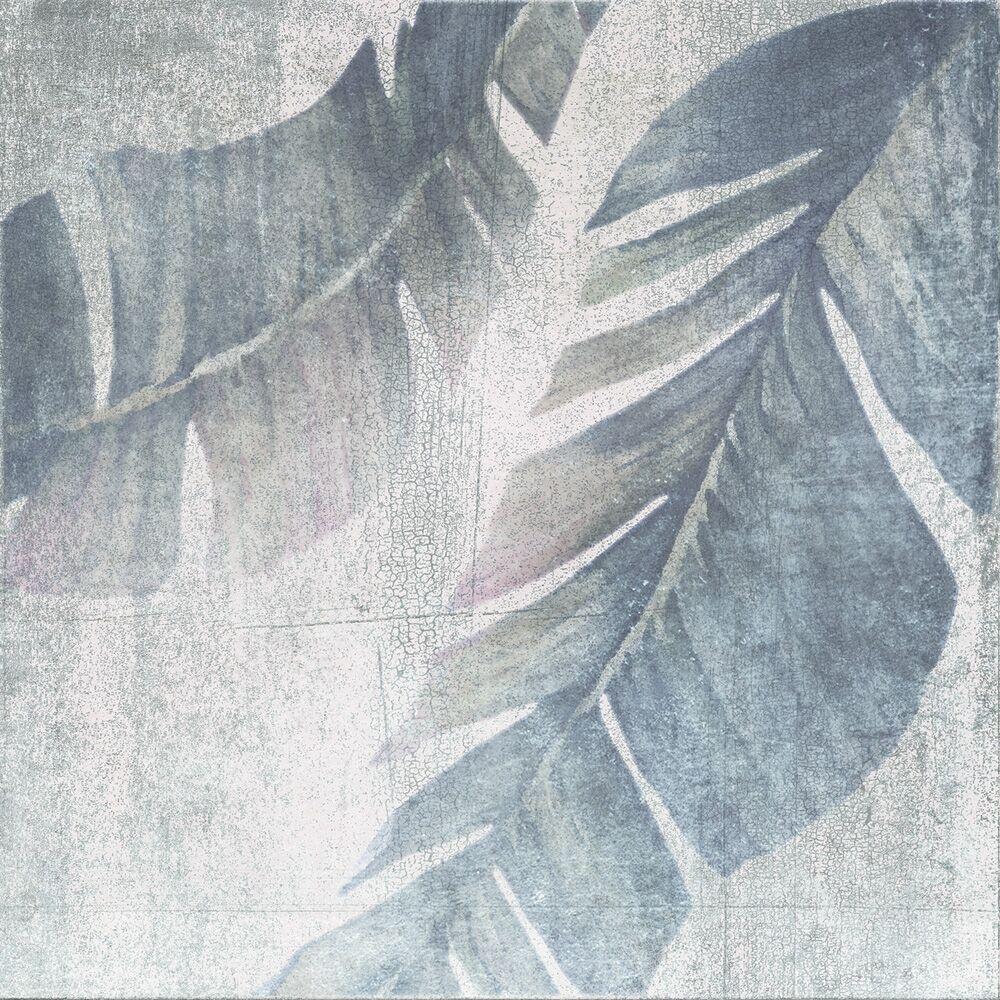 Decor Boreal White