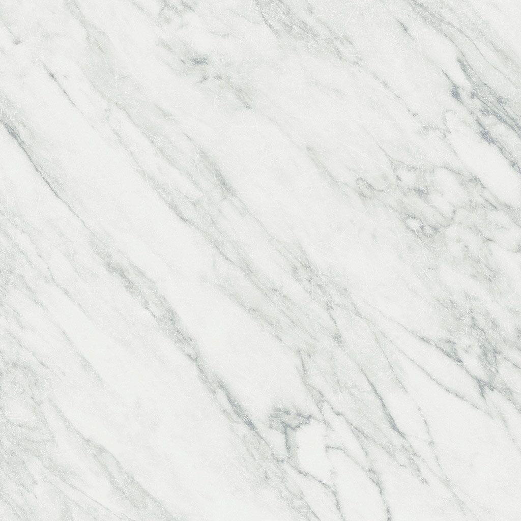 Pav Terma White