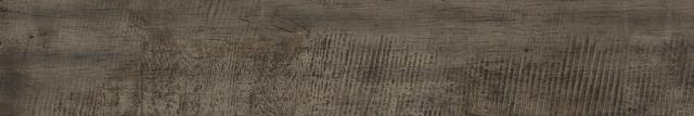 AN2L Dark Oak