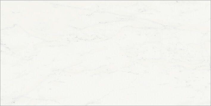 610015000494 Bianco Michelangelo