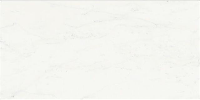 610015000494 Bianco Michelangelo
