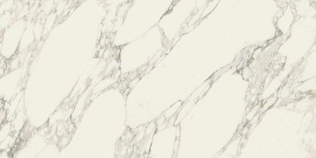610015000501 Arabescato White Lux