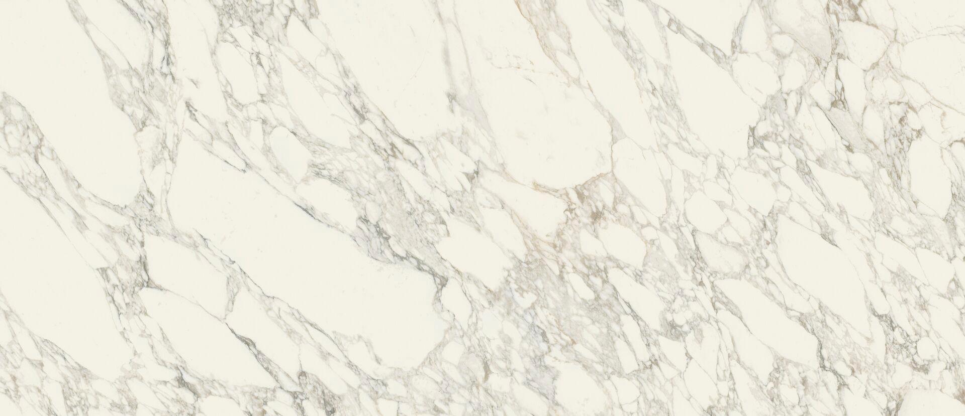 600180000005 Arabescato White Lux