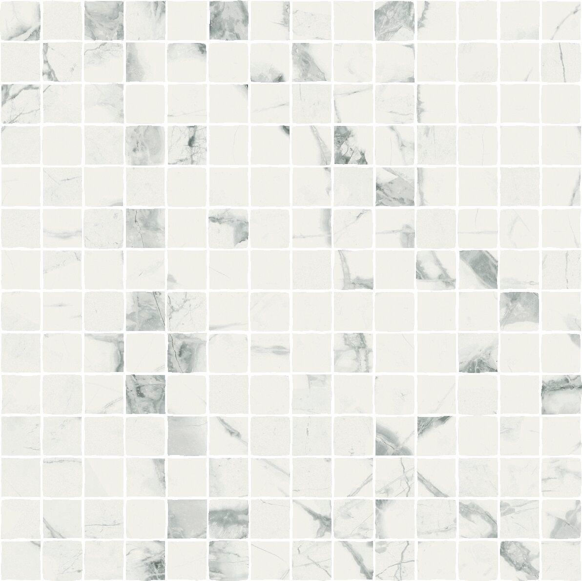 620110000121 Invisible Mos. Split
