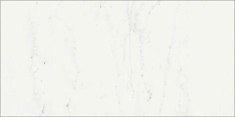 600010002257 Bianco Michelangelo