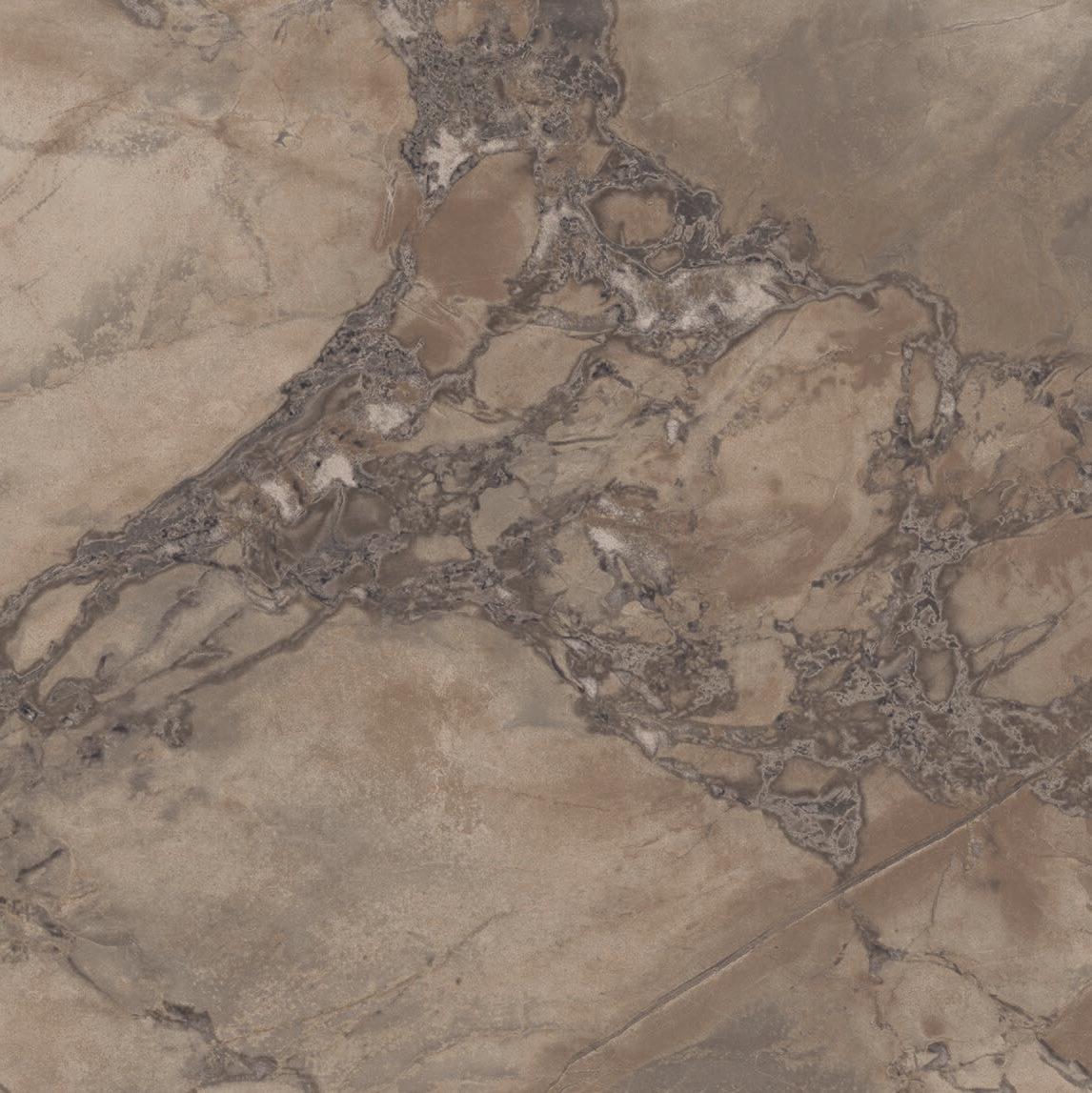 PF60004409 Brown Lap