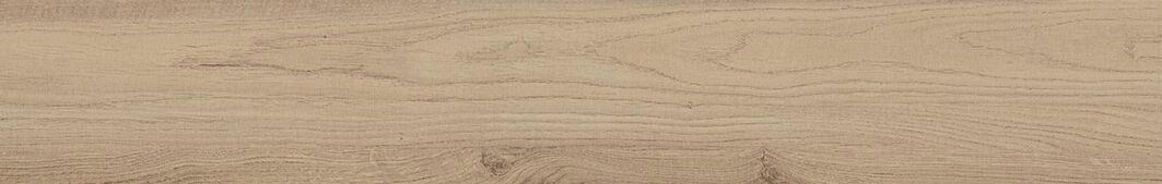Forest Maple