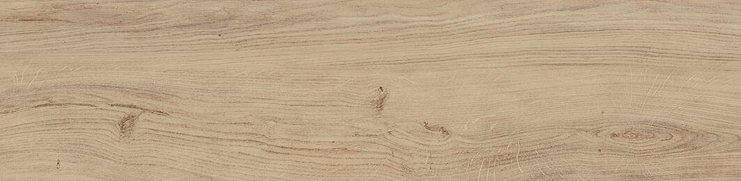 Forest Maple