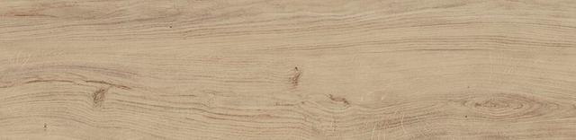 Forest Maple