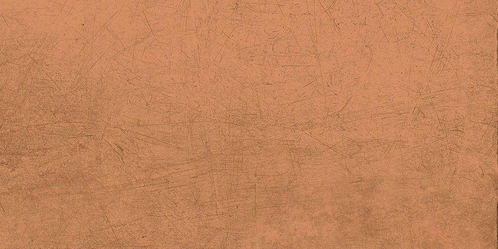 Pumpkin SP SQ LY08