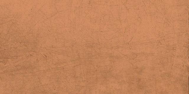 Pumpkin SP SQ LY08