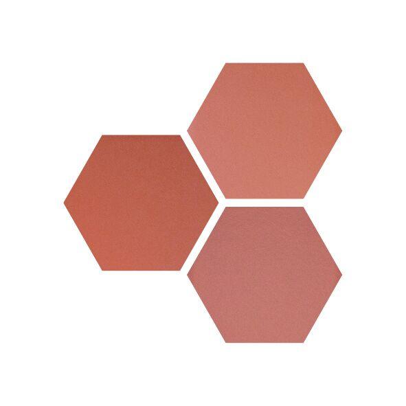 Hexa Six Coral