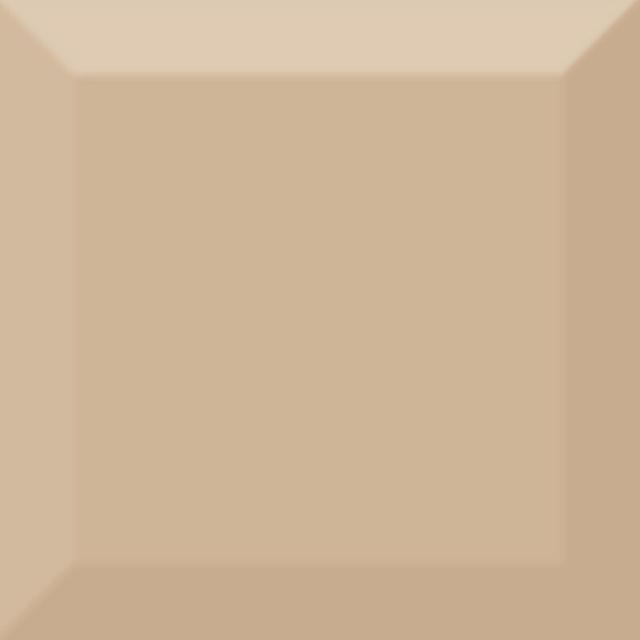 Biselado Brillo Beige