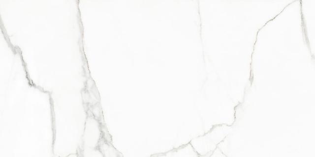 117432 White Beauty Lev