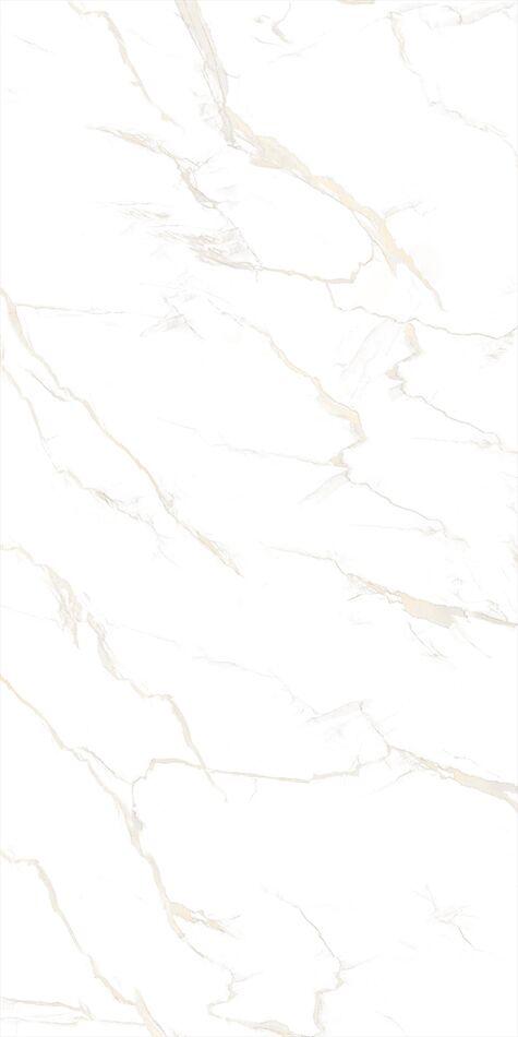 Calacatta Gold Full Lappato