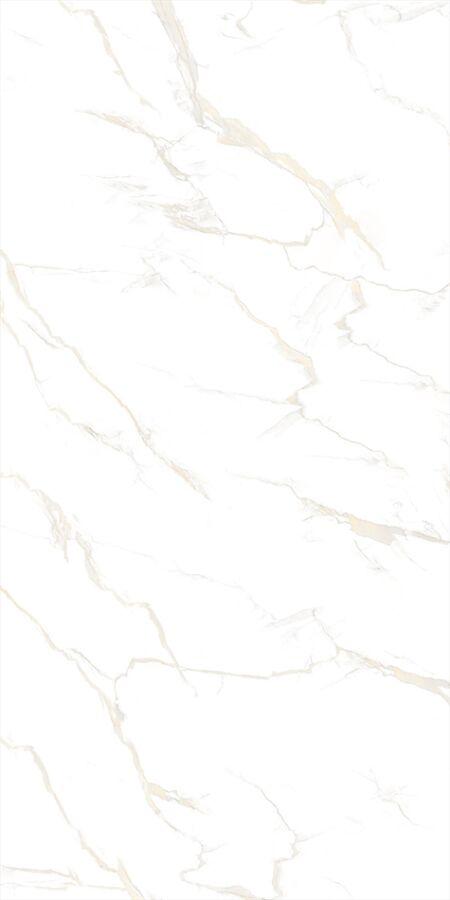 Calacatta Gold Full Lappato